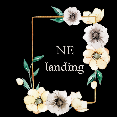 NE landing